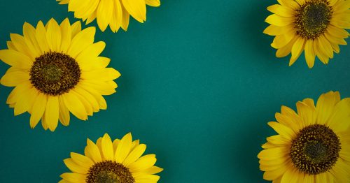 Begin Lent by making this paper sunflower that will help you set your intentions for the next 40 days and pray for others.