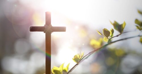 This Holy Week, plant a small resurrection garden that will remind you of Jesus’ glorious victory in the greatest story ever told.