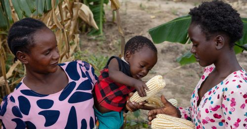 Elina holds her son, David, as her daughter, Alice, shares an ear of corn from the family’s cornfield. Improved harvests provide both food and income for their family.